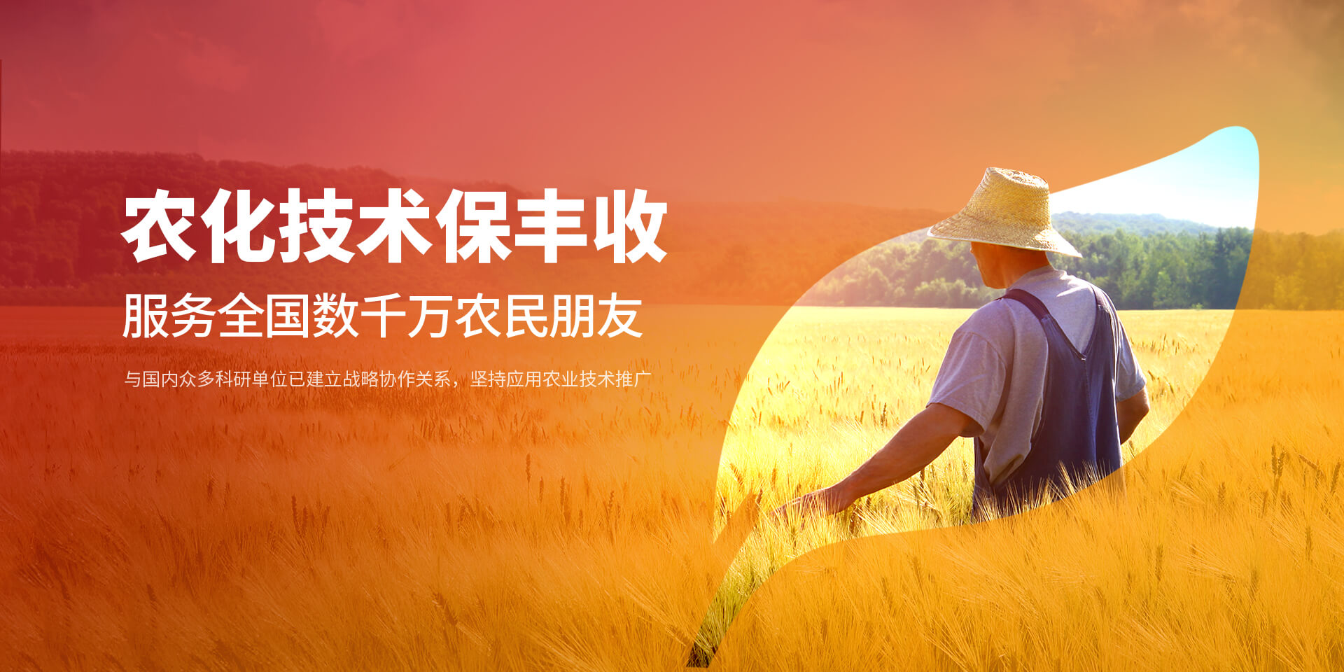安阳蜜桃网站入口可看新肥科技有限公司